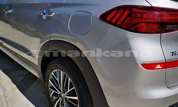 Buy Used Hyundai Tucson Other Car in Tbilisi in Tbilisi Buy Used Hyundai Tucson Other Car in Tbilisi in Tbilisi