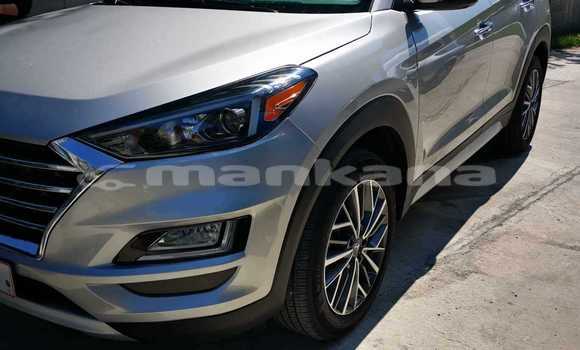 Buy Used Hyundai Tucson Other Car in Tbilisi in Tbilisi Buy Used Hyundai Tucson Other Car in Tbilisi in Tbilisi