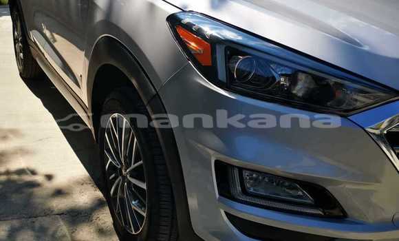 Buy Used Hyundai Tucson Other Car in Tbilisi in Tbilisi Buy Used Hyundai Tucson Other Car in Tbilisi in Tbilisi