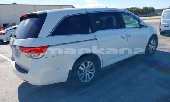 Buy Used Honda Odyssey White Car in Tbilisi in Tbilisi Buy Used Honda Odyssey White Car in Tbilisi in Tbilisi