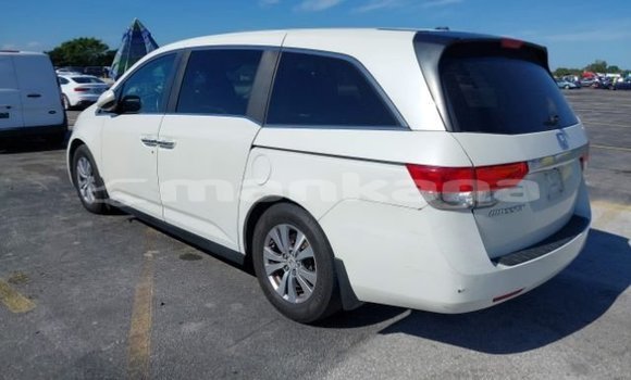 Buy Used Honda Odyssey White Car in Tbilisi in Tbilisi Buy Used Honda Odyssey White Car in Tbilisi in Tbilisi