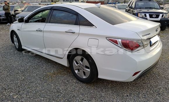 Buy Used Hyundai Sonata White Car in Tbilisi in Tbilisi Buy Used Hyundai Sonata White Car in Tbilisi in Tbilisi