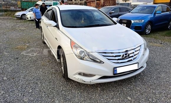 Buy Used Hyundai Sonata White Car in Tbilisi in Tbilisi Buy Used Hyundai Sonata White Car in Tbilisi in Tbilisi