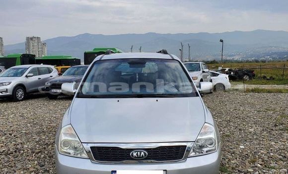 Buy Used Kia Carnival Other Car in Tbilisi in Tbilisi