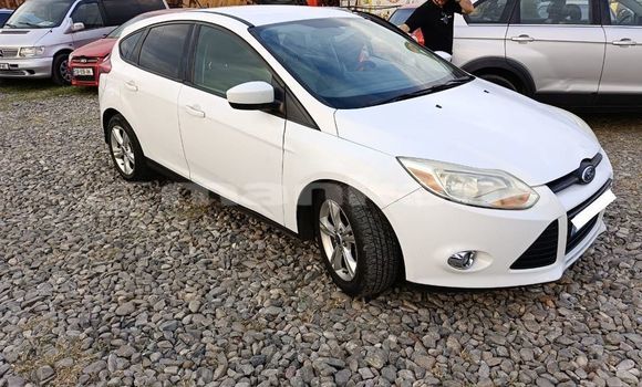 Buy Used Ford Focus White Car in Tbilisi in Tbilisi