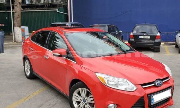 Buy Used Ford Focus Red Car in Tbilisi in Tbilisi Buy Used Ford Focus Red Car in Tbilisi in Tbilisi