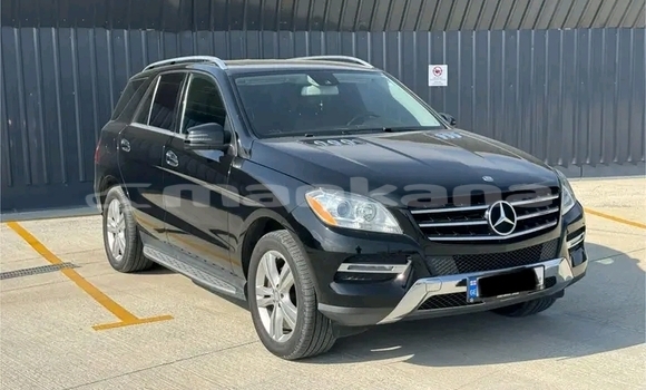 Buy Used Mercedes Viano Silver Car in Batumi in Ajaria