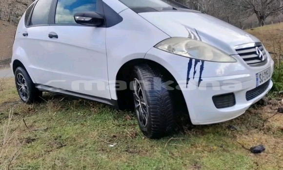 Buy Used Ford Escape White Car in Signahi in Kaheti