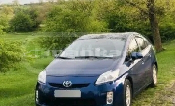 Buy Used Toyota bB Black Car in Batumi in Ajaria