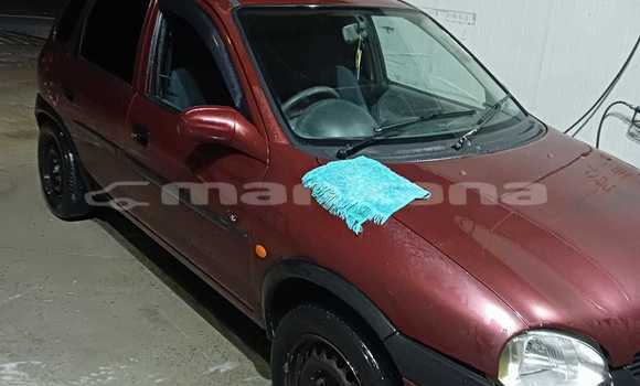 Buy Used Toyota Corolla Red Car in Tbilisi in Tbilisi Buy Used Toyota Corolla Red Car in Tbilisi in Tbilisi