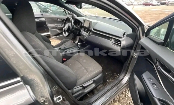 Buy Used FAW Jinn Green Car in Bagdadi in Imereti