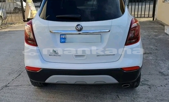 Buy Used Honda Avancier White Car in Gurdzhaani in Kaheti Buy Used Honda Avancier White Car in Gurdzhaani in Kaheti