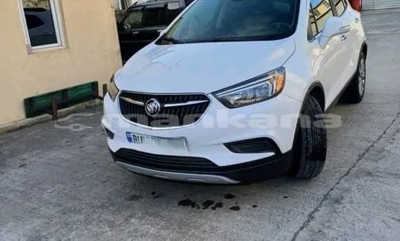 Buy Used Honda Avancier White Car in Gurdzhaani in Kaheti Buy Used Honda Avancier White Car in Gurdzhaani in Kaheti