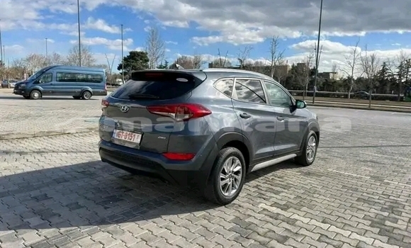 Buy Used Kia K3 Other Car in Gurdzhaani in Kaheti Buy Used Kia K3 Other Car in Gurdzhaani in Kaheti