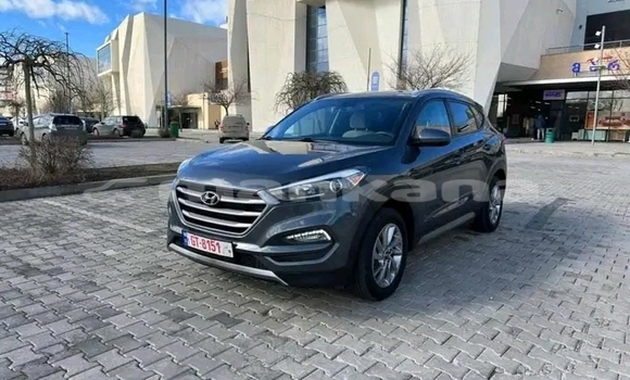 Buy Used Kia K3 Other Car in Gurdzhaani in Kaheti Buy Used Kia K3 Other Car in Gurdzhaani in Kaheti