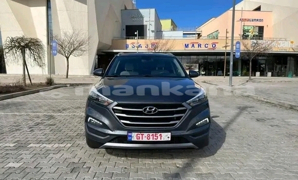 Buy Used Kia K3 Other Car in Gurdzhaani in Kaheti Buy Used Kia K3 Other Car in Gurdzhaani in Kaheti