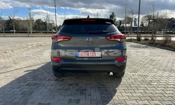 Buy Used Toyota Aqua Black Car in Ahmeta in Kaheti Buy Used Toyota Aqua Black Car in Ahmeta in Kaheti