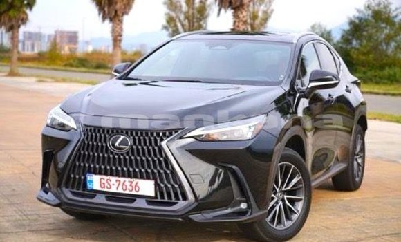 Buy Used Lexus NX Black Car in Tbilisi in Tbilisi
