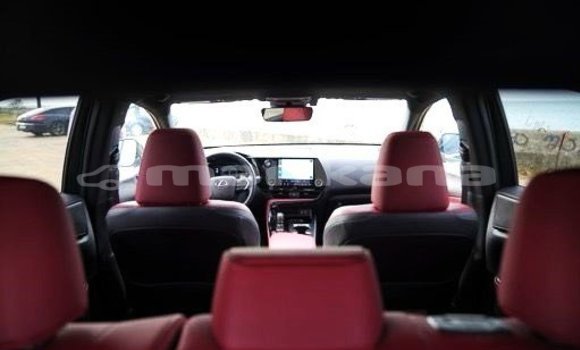 Buy Used Lexus NX Black Car in Tbilisi in Tbilisi Buy Used Lexus NX Black Car in Tbilisi in Tbilisi