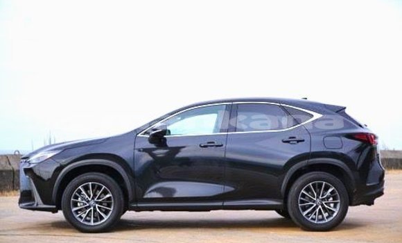 Buy Used Lexus NX Black Car in Tbilisi in Tbilisi Buy Used Lexus NX Black Car in Tbilisi in Tbilisi