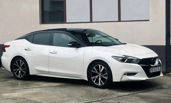 Buy Used Nissan Maxima White Car in Dusheti in Mcheta-Mtianeti Buy Used Nissan Maxima White Car in Dusheti in Mcheta-Mtianeti