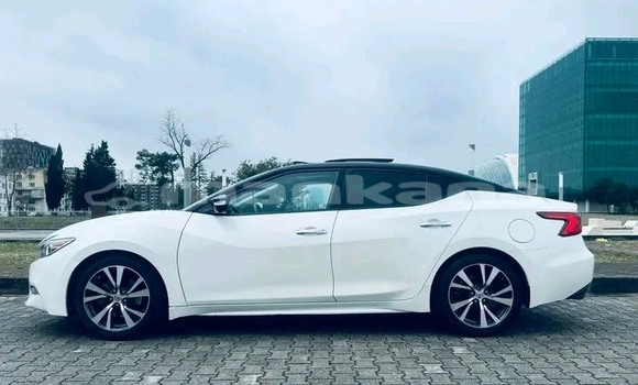 Buy Used Nissan Maxima White Car in Dusheti in Mcheta-Mtianeti Buy Used Nissan Maxima White Car in Dusheti in Mcheta-Mtianeti