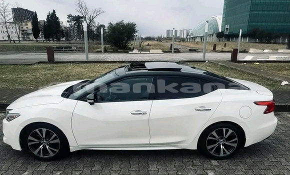 Buy Used Nissan Maxima White Car in Dusheti in Mcheta-Mtianeti Buy Used Nissan Maxima White Car in Dusheti in Mcheta-Mtianeti