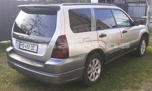 Buy Used Toyota FunCargo Other Car in Dioknisi in Ajaria Buy Used Toyota FunCargo Other Car in Dioknisi in Ajaria