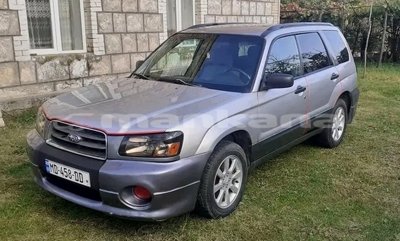 Buy Used Toyota FunCargo Other Car in Dioknisi in Ajaria Buy Used Toyota FunCargo Other Car in Dioknisi in Ajaria