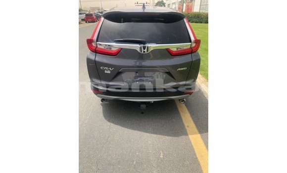 Buy Import Honda C Other Bike in Import - Dubai in Abhasia Buy Import Honda C Other Bike in Import - Dubai in Abhasia