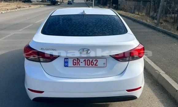Buy Used Hyundai Elantra White Car in Gagra in Abhasia
