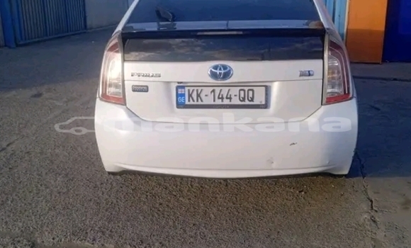 Buy Used BMW 3er White Car in Honi in Imereti Buy Used BMW 3er White Car in Honi in Imereti