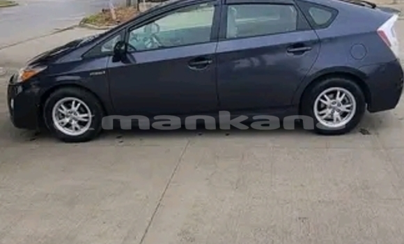 Buy Used FAW Oley Black Car in Bihvinta in Abhasia