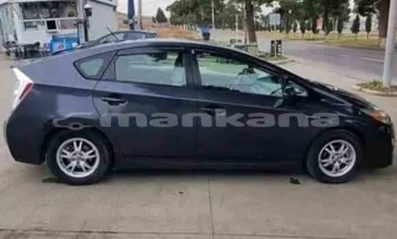 Buy Used FAW Oley Black Car in Bihvinta in Abhasia Buy Used FAW Oley Black Car in Bihvinta in Abhasia