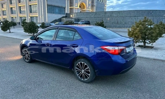 Buy Used Toyota Corolla Blue Car in Ahali Atoni in Abhasia Buy Used Toyota Corolla Blue Car in Ahali Atoni in Abhasia