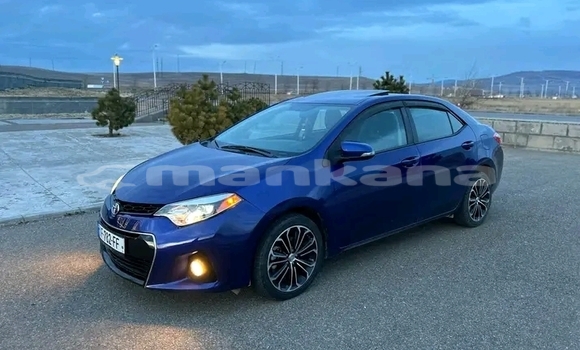 Buy Used Toyota Corolla Blue Car in Ahali Atoni in Abhasia Buy Used Toyota Corolla Blue Car in Ahali Atoni in Abhasia