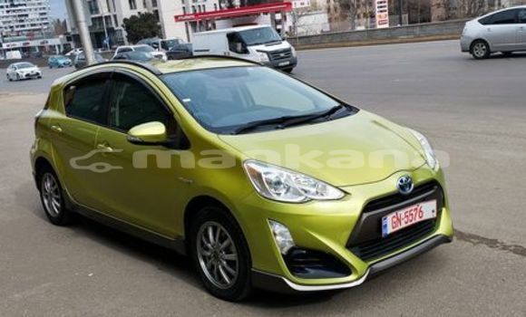 Buy Used Toyota Vitz Other Car in Tbilisi in Tbilisi Buy Used Toyota Vitz Other Car in Tbilisi in Tbilisi