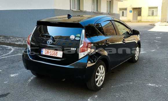 Buy Used Honda FIT Black Car in Tbilisi in Tbilisi Buy Used Honda FIT Black Car in Tbilisi in Tbilisi