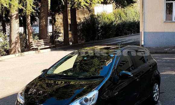 Buy Used Honda FIT Black Car in Tbilisi in Tbilisi Buy Used Honda FIT Black Car in Tbilisi in Tbilisi