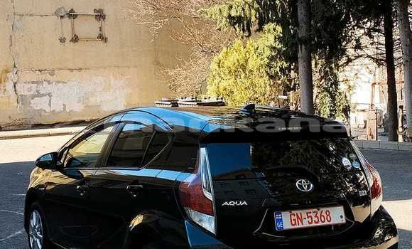 Buy Used Honda FIT Black Car in Tbilisi in Tbilisi Buy Used Honda FIT Black Car in Tbilisi in Tbilisi