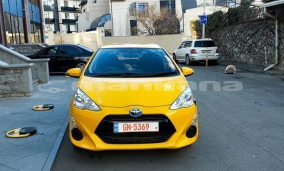 Buy Used Toyota Vitz Other Car in Tbilisi in Tbilisi