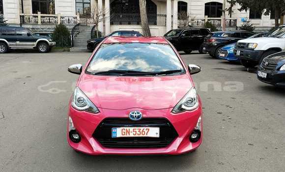 Buy Used Toyota Vitz Other Car in Bagdadi in Imereti Buy Used Toyota Vitz Other Car in Bagdadi in Imereti