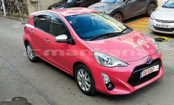 Buy Used Toyota Vitz Other Car in Bagdadi in Imereti Buy Used Toyota Vitz Other Car in Bagdadi in Imereti