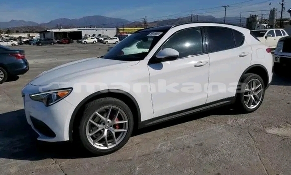 Buy Used Hyundai H200 Other Truck in Batumi in Ajaria Buy Used Hyundai H200 Other Truck in Batumi in Ajaria