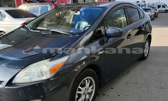 Buy Used Toyota Altis Red Car in Bihvinta in Abhasia Buy Used Toyota Altis Red Car in Bihvinta in Abhasia