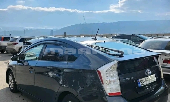 Buy Used Toyota Altis Red Car in Bihvinta in Abhasia Buy Used Toyota Altis Red Car in Bihvinta in Abhasia