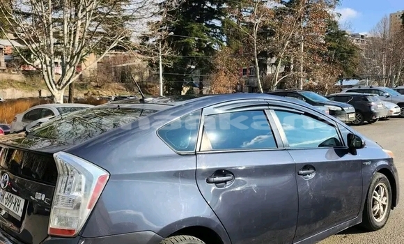 Buy Used Toyota Altis Red Car in Bihvinta in Abhasia Buy Used Toyota Altis Red Car in Bihvinta in Abhasia