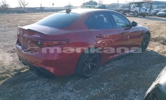 Buy Used Alpina Roadster Red Car in Bihvinta in Abhasia