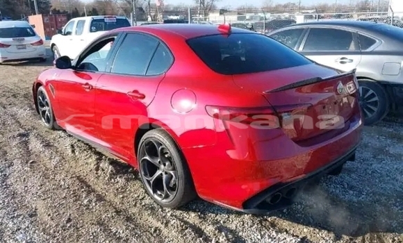 Buy Used Alpina Roadster Red Car in Bihvinta in Abhasia Buy Used Alpina Roadster Red Car in Bihvinta in Abhasia