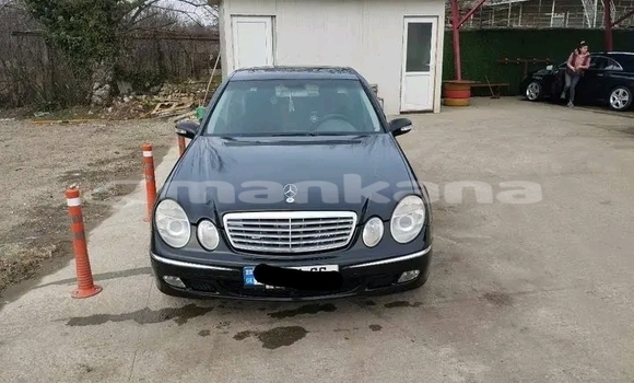 Buy Used De Tomaso Mangusta Other Car in Chiatura in Imereti Buy Used De Tomaso Mangusta Other Car in Chiatura in Imereti